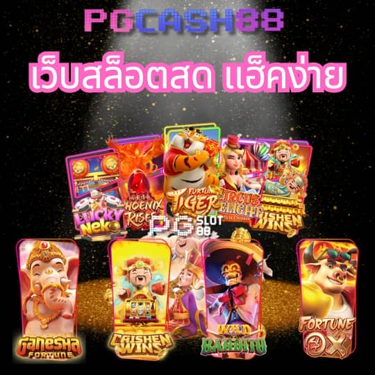 ng24h สล็อต